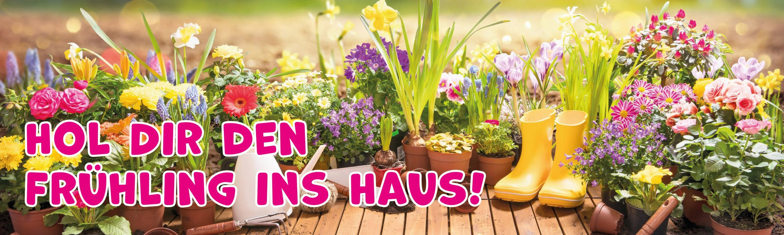 Blumenbanner_800x180cm_02